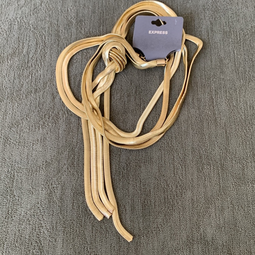 Express Necklace - Picture 5 of 6